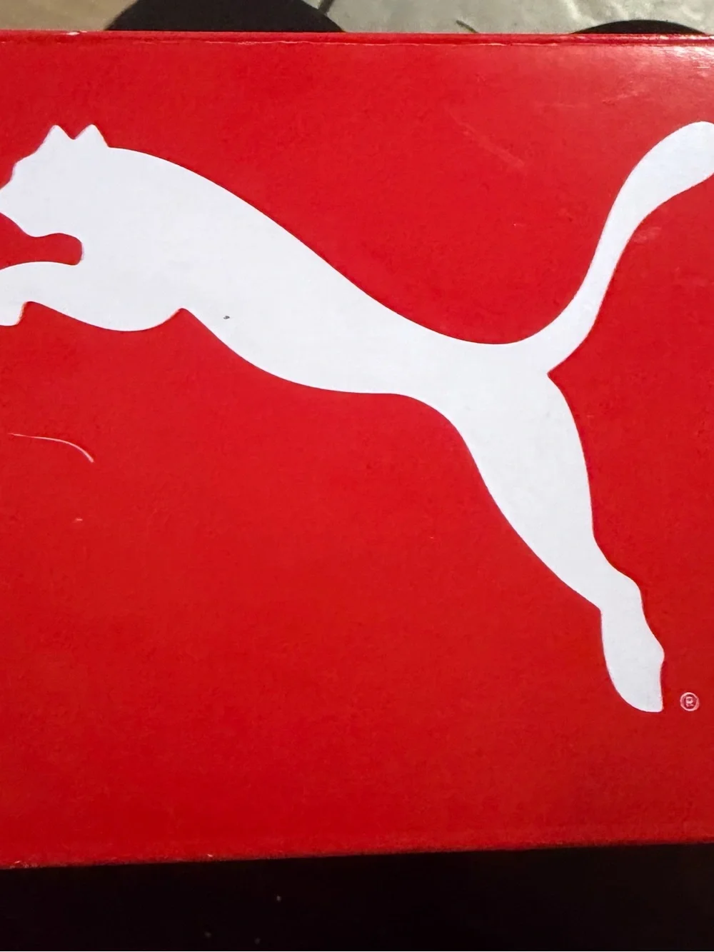 Puma soft white